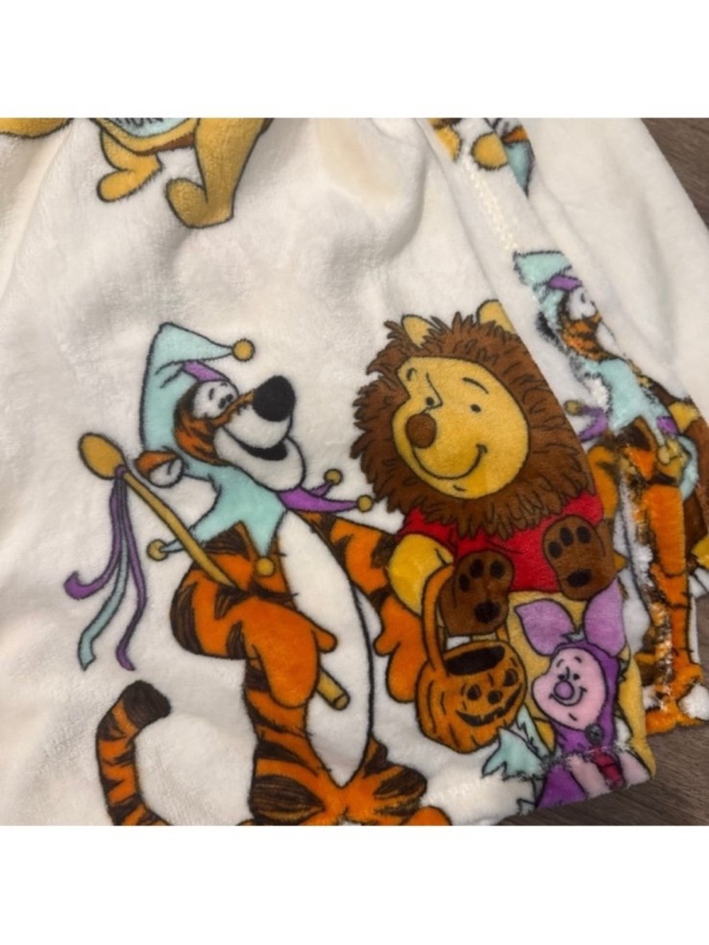Disney Winnie the Pooh & Friends fall throw blanket new